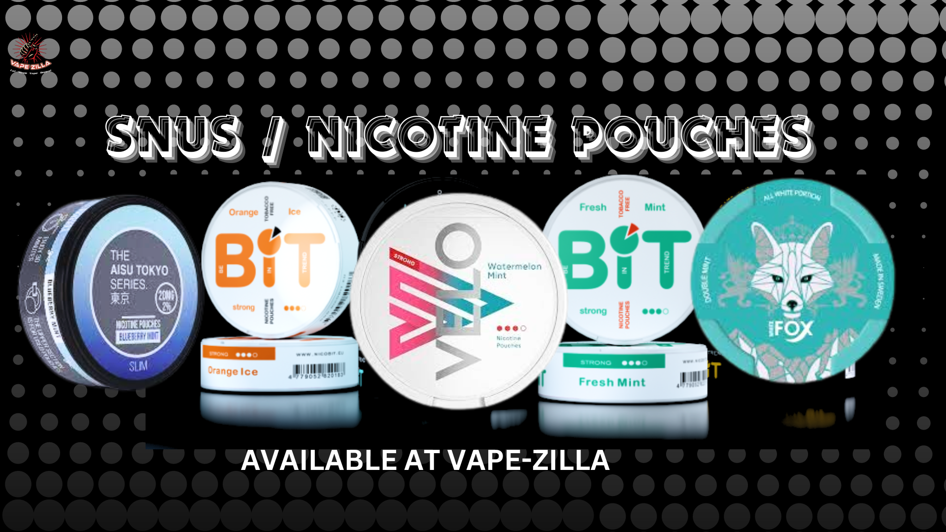 snus / nicotine pouches