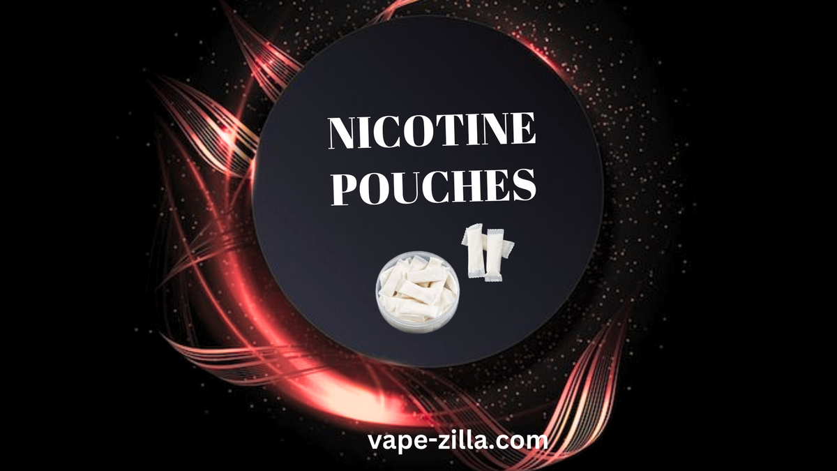 SNUS/NICOTINE POUCHES
