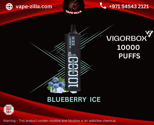 VIGORBOX 10000puffs - Blueberry Ice