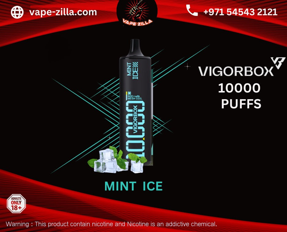 VIGORBOX 10000puffs - Mint Ice