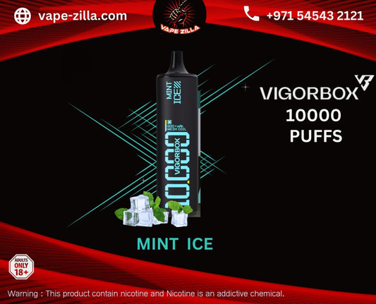 VIGORBOX 10000puffs - Mint Ice