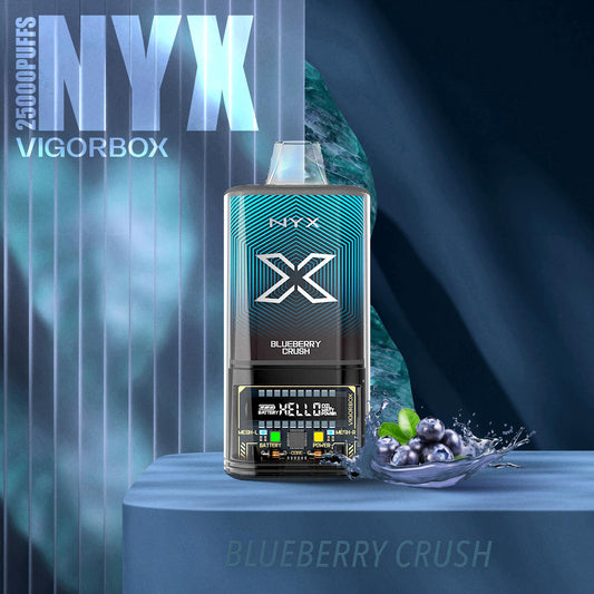 VIGORBOX NYX 25000K PUFFS BLUEBERRY CRUSH