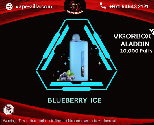 Vigorbox Aladdin 10000 Puffs - Blueberry Ice
