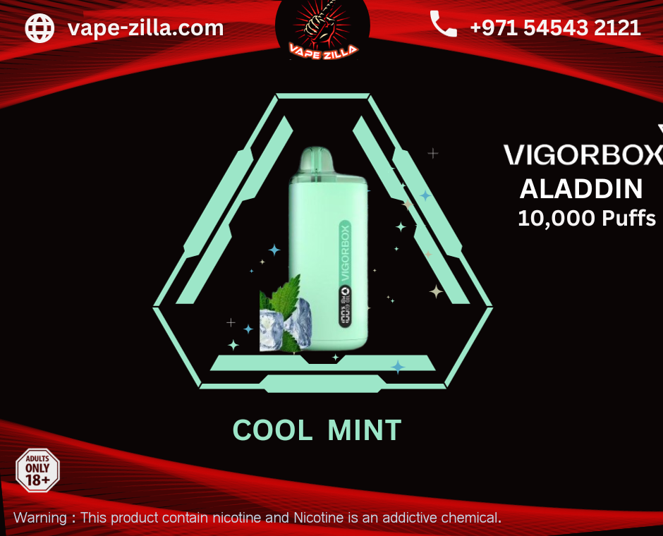 VIGORBOX ALADDIN 10000 PUFFS - COOL MINT