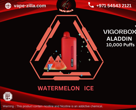 VIGORBOX ALADDIN 10000 PUFFS - WATERMELON ICE