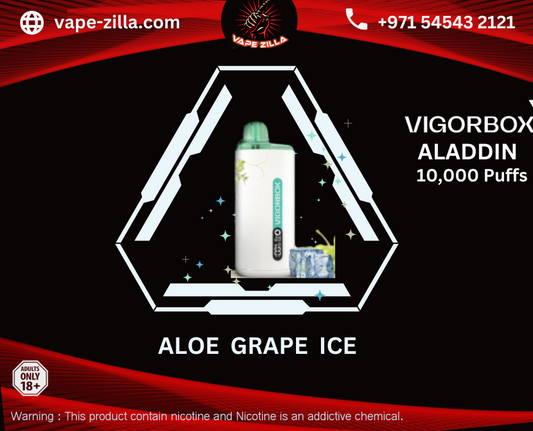 VIGORBOX ALADDIN 10000 PUFFS - ALOE GRAPE ICE