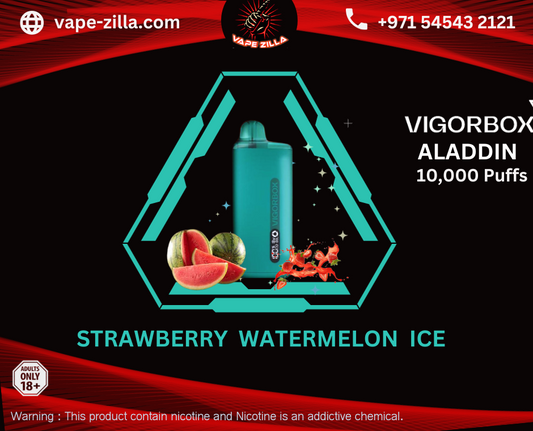 VIGORBOX ALADDIN 10000 PUFFS - STRAWBERRY WATERMELON ICE