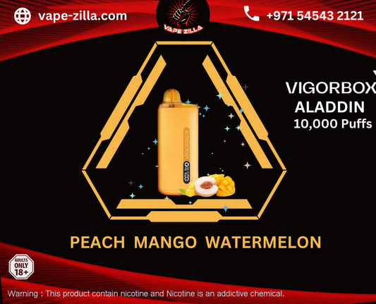 VIGORBOX ALADDIN 10000 PUFFS - PEACH MANGO WATERMELON