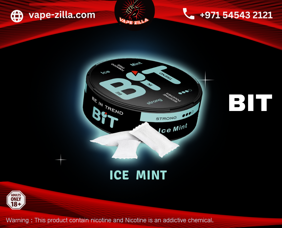 BIT ICE MINT Nicotine Pouches /Snus