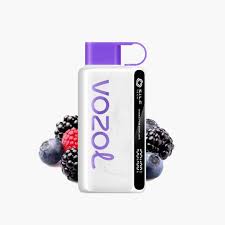 Vozol Star 12000puffs 50mg Mixed Berries