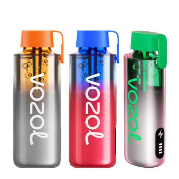 VOZOL NEON 10000puffs